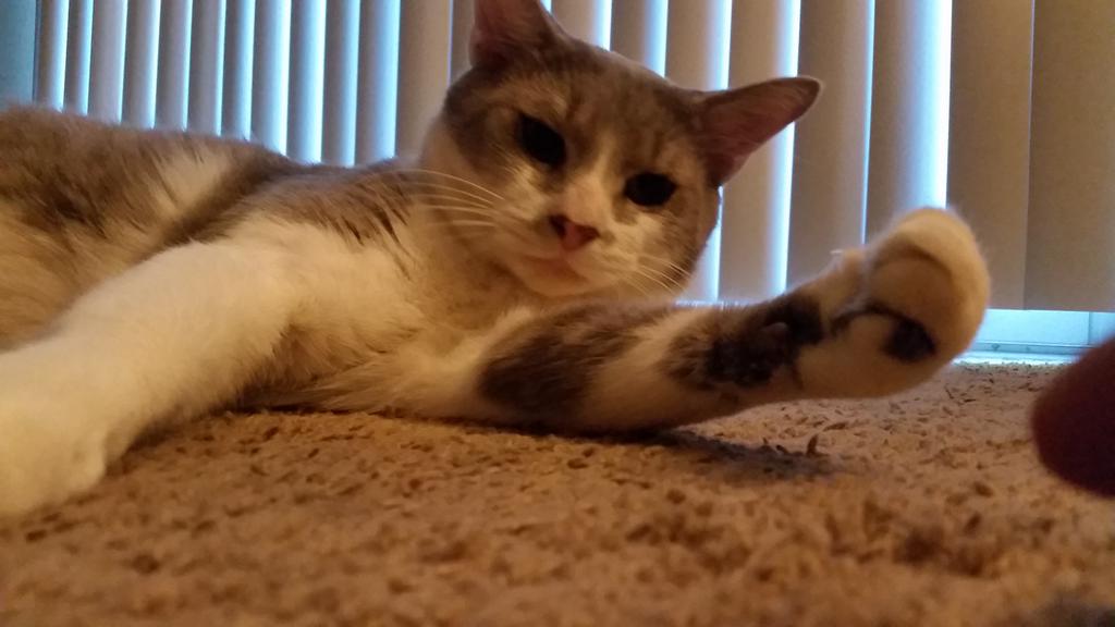 lickyofuzz's tweet photo. Smooookkee https://t.co/iFk67W6RWd
