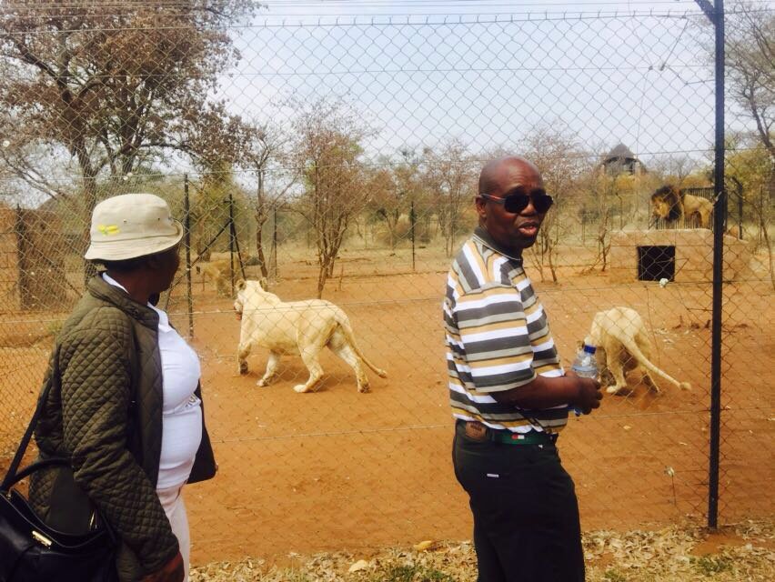 DesboMohono's tweet photo. With the chairperson of @TourismNW Board visiting Kudusrus near Madikwe #TourismFridays #AReYengBokoneBophirima https://t.co/KkfgxVZ6nZ