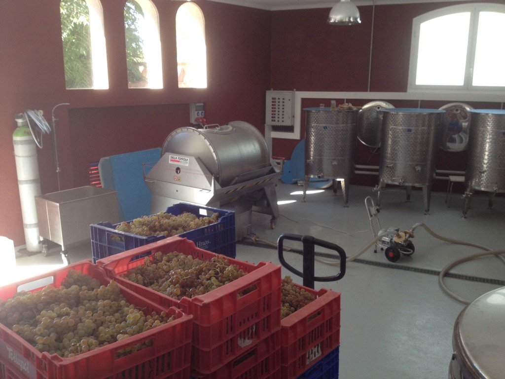 viavins's tweet photo. #celler #premsa #most #xarel.lo #VIA #winelovers https://t.co/e5sVrzxW7n