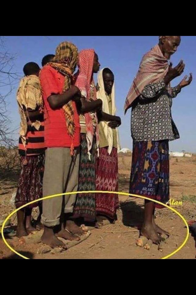 وجيههم شاحبه وكبودهم حمضا
رغم الظروف الصعيبه دينهم باقي
.
مايتركون الصلاة بحجّة الرمضا
حطوا غصون الشجر لاقدامها واقي