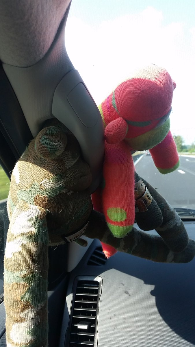 SM_02_013's tweet photo. I'm on the way home with @Max5Monkey but I bet @cocothepig1 is travelling in greater style https://t.co/bxox828bej