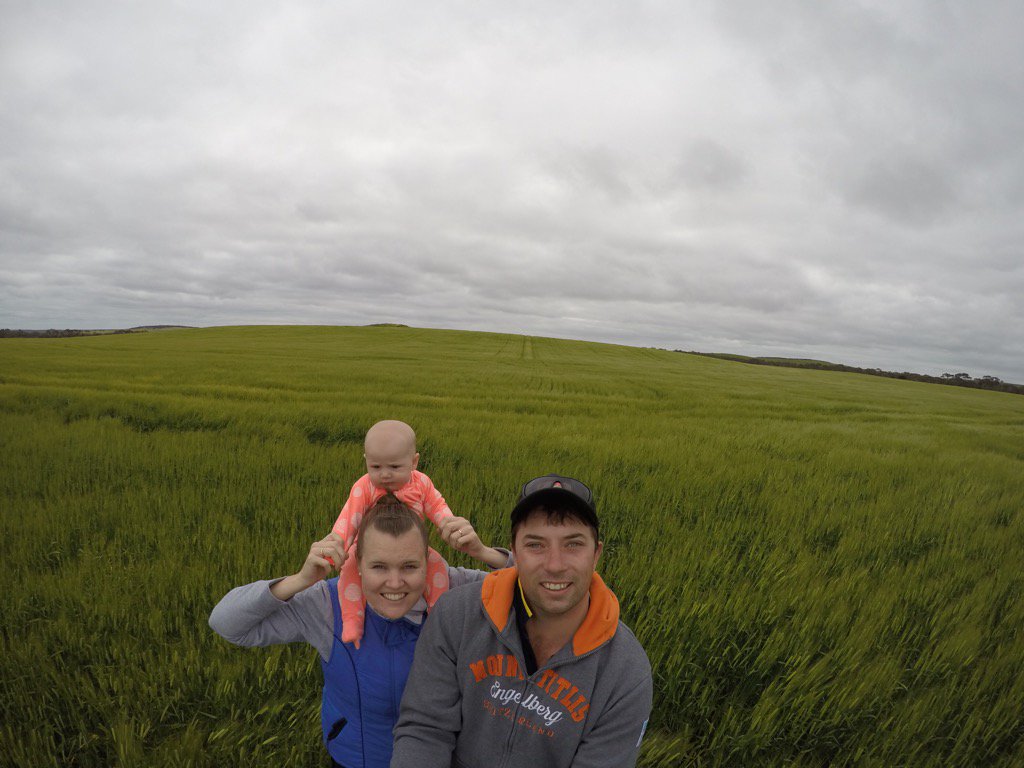 micknoble87's tweet photo. Crop inspecting this arvo #halfainchishandy #barleyonbarley #emupark https://t.co/X0n1TnxxgD