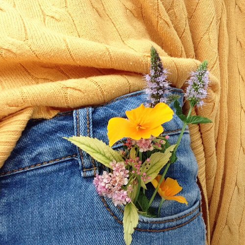 PleasingVisuals tweet picture