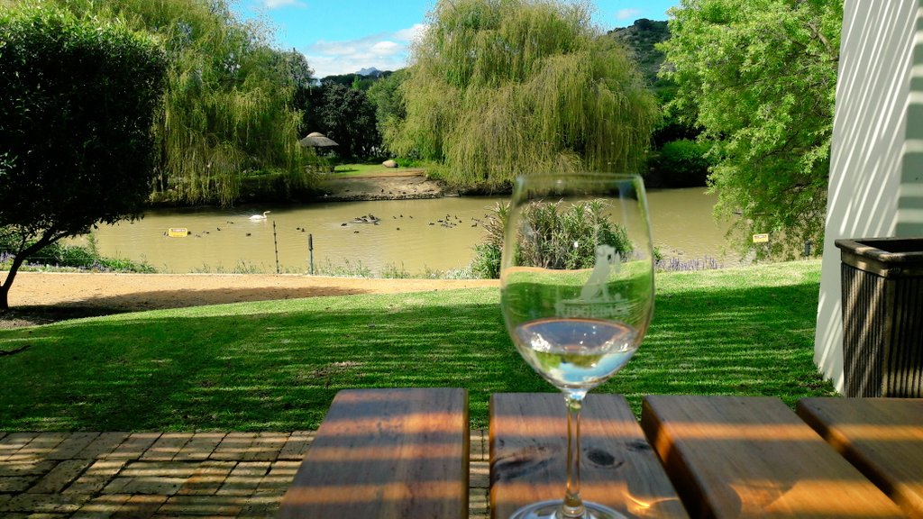 Throughmywinegl's tweet photo. Views #ridgebackwines #paarl #winefarmsofcapetown https://t.co/LmFnFnb74x