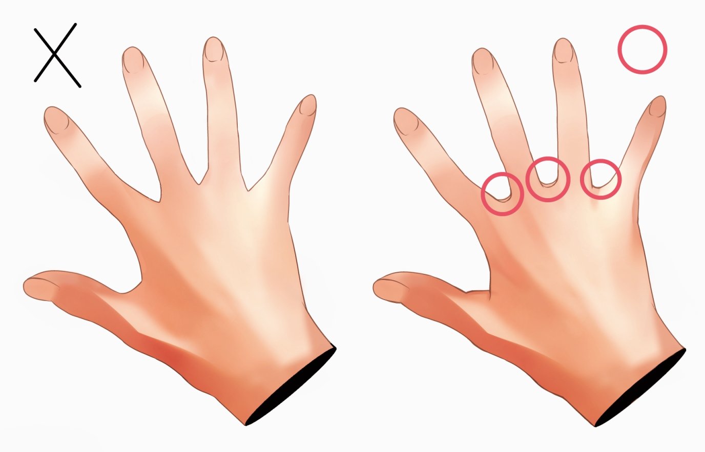 抹茶龍匡 Pa Twitter 個人的メモ 指の間には僅かな 水かき が存在している 特に手をアップで描く 手を広げるときに描いたほうが良いらしく よく噂でピアニストのような 指をよく動かす人は手術でこの部分