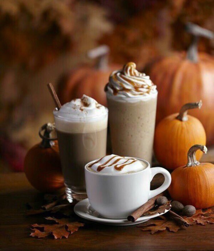 BohemianRefuge's tweet photo. Feelin it rn 🍊🍁🍂 https://t.co/OYVxPaDMYv