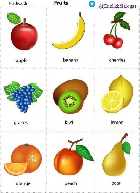 englishdialo's tweet photo. Variety of fruits.

🌐 Learn English Channel:
https://t.co/D4ksYANw3b https://t.co/GeSW1g22dw