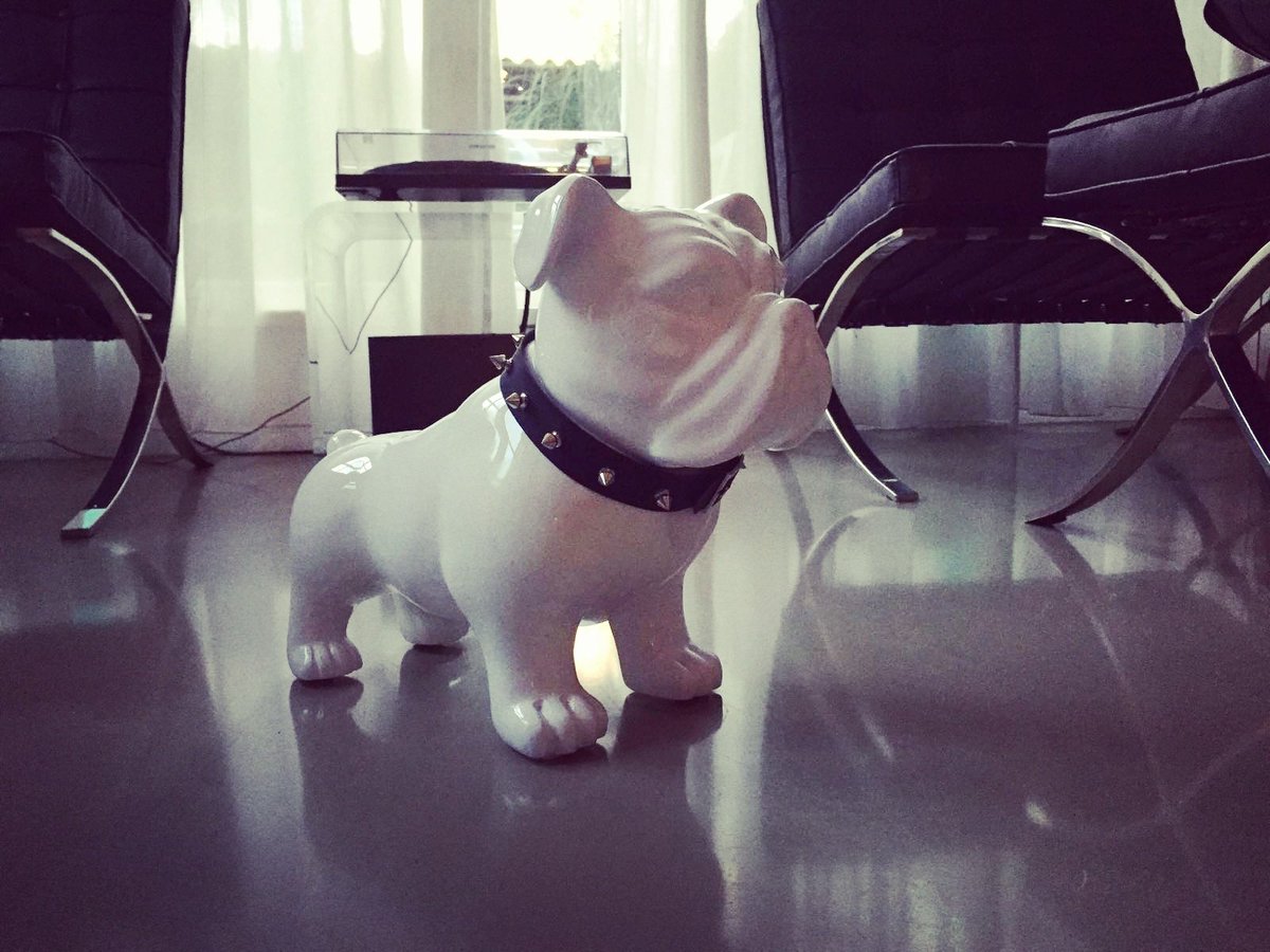 Graciëlla Nouwens tweet media