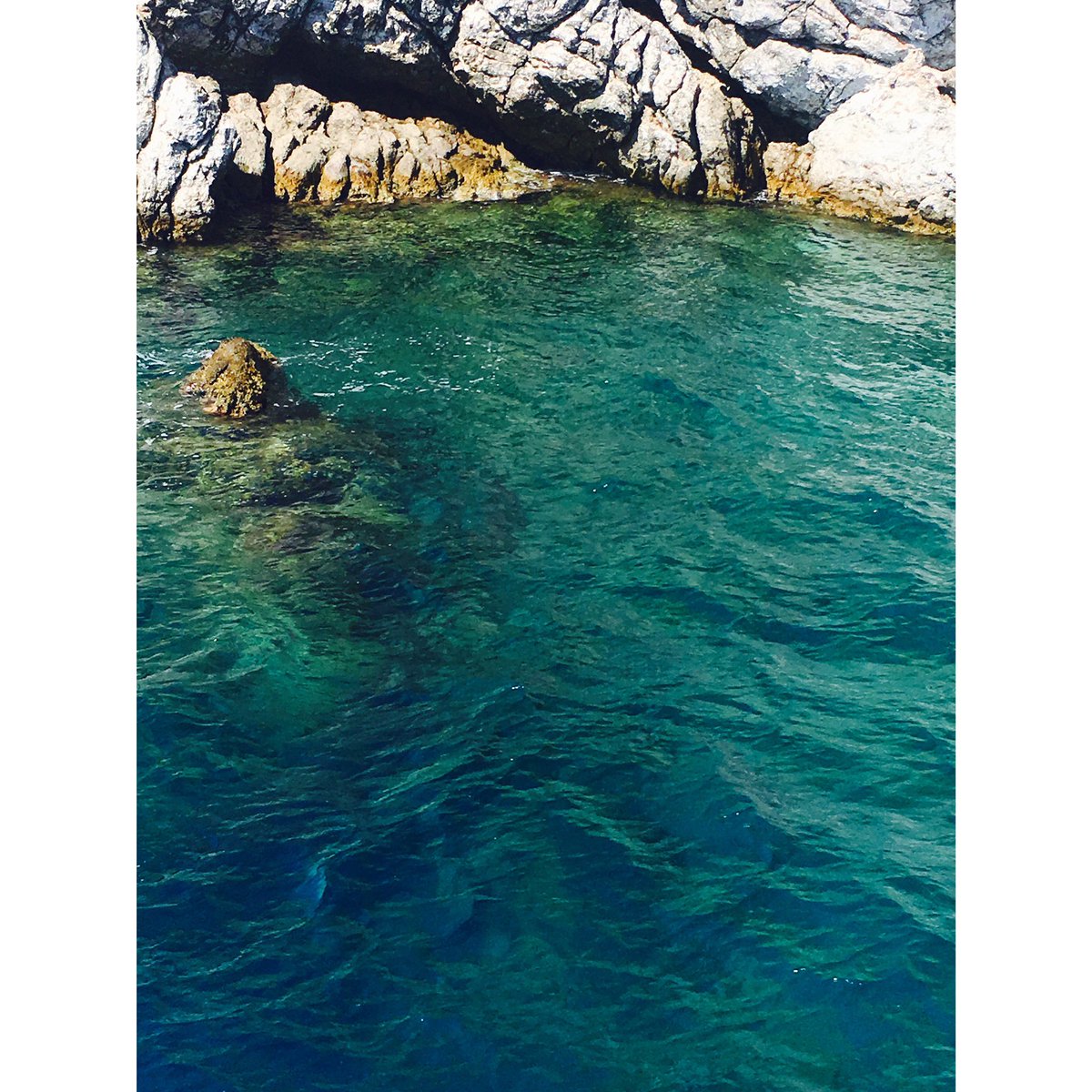 zo3szu's tweet photo. Love turkey ☀️☀️☀️ https://t.co/6HD5LdZYXW
