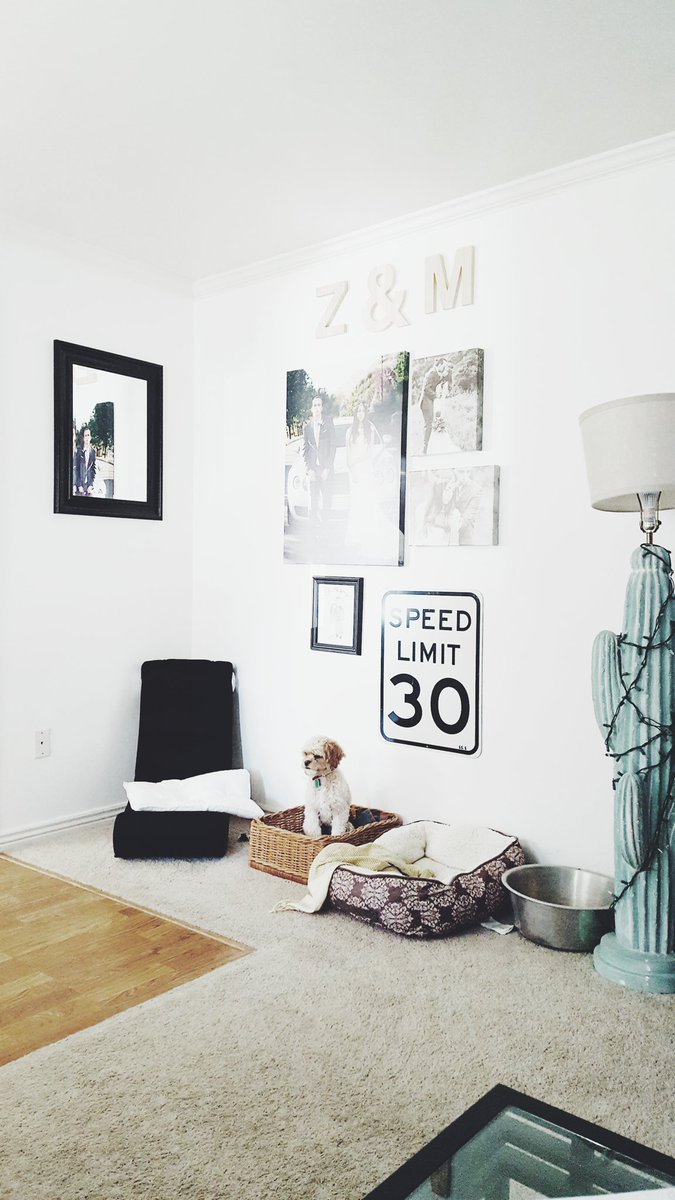 MupheyC's tweet photo. Baskets and Sundays. #Cavapoo #DogsOfTwitter https://t.co/GVVbHbZS3A