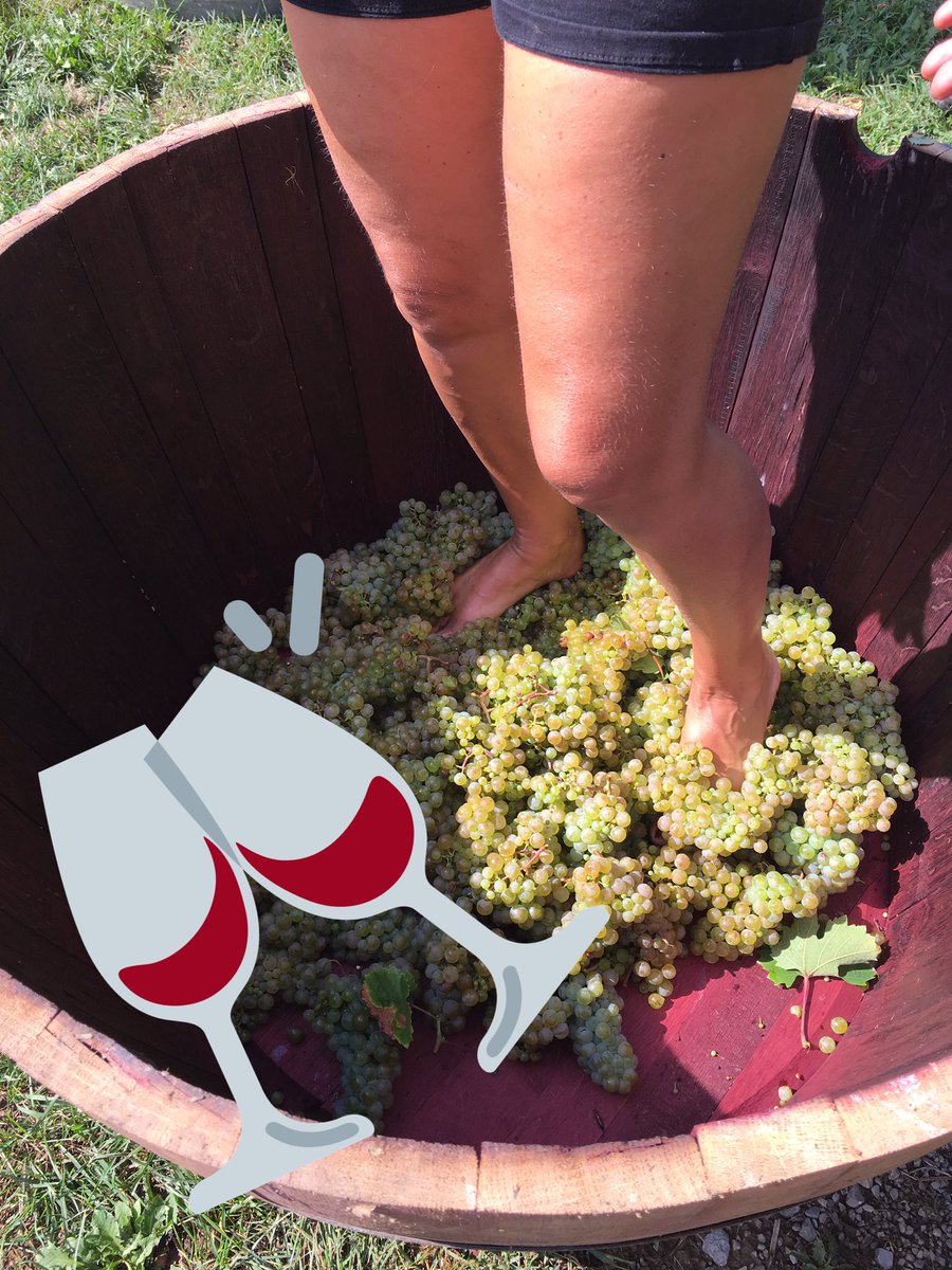 Winemakersboots's tweet photo. Another happy set of Pick, Stomp, and Tasters! #winemakerforaday https://t.co/4hortv43Jb