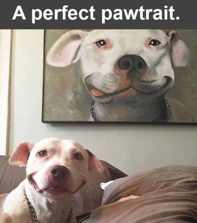 Everything Awesome (@theawesomememes) on Twitter photo 