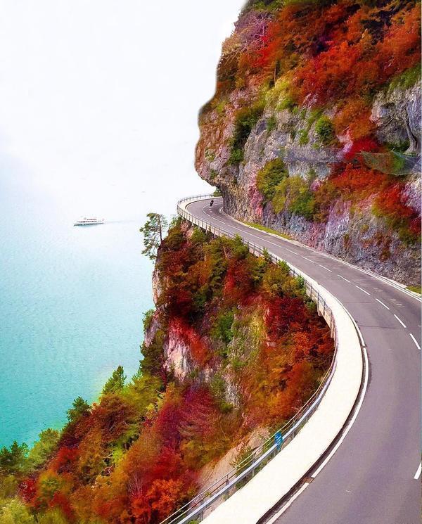 AlexFanprincipe's tweet photo. El Camino mas Bonito es junto a ti! ! La mas bonita carretera y ver todo lleno de Colores, y Esa Sonrisa ! #AlexGlz https://t.co/j3Q7IAoQDz