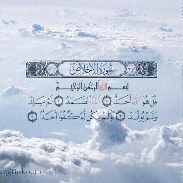 هَـيّـفآاءْ tweet media