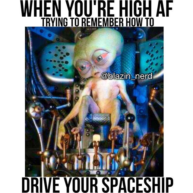 thehigh356's tweet photo. #marijuana #weed #cannabis #hemp #maryjane https://t.co/OnMYxS4yW5