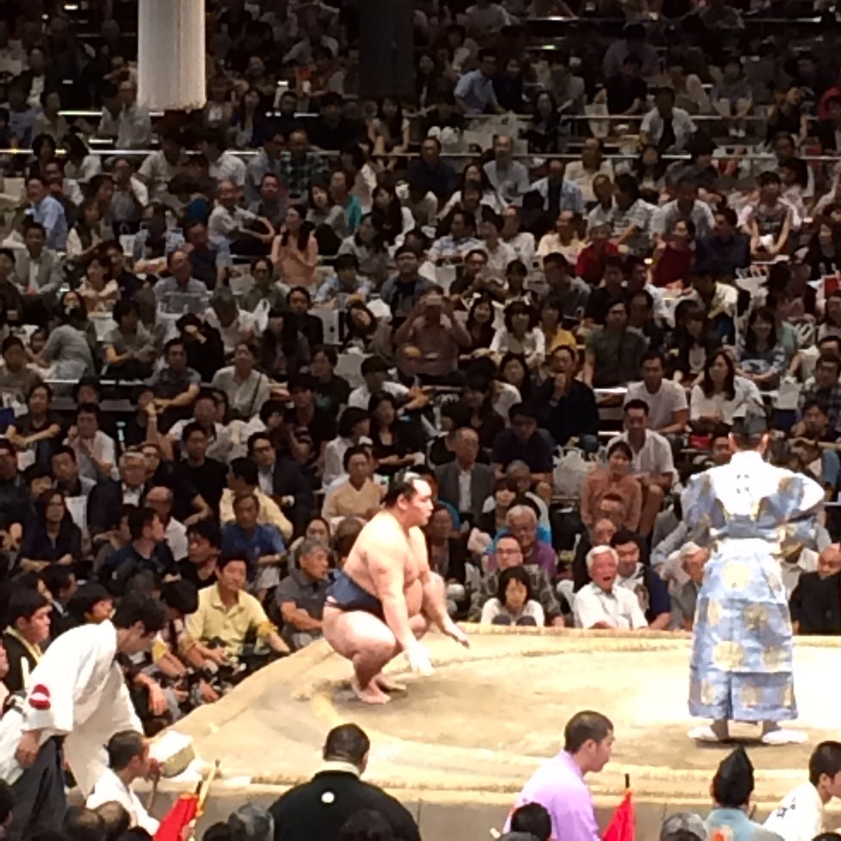 嘉風の目がパンダになる 五日目 九日目 4ページ目 Togetter 嘉風の目がパンダになる 五日目 九日目 4ページ目 Togetter