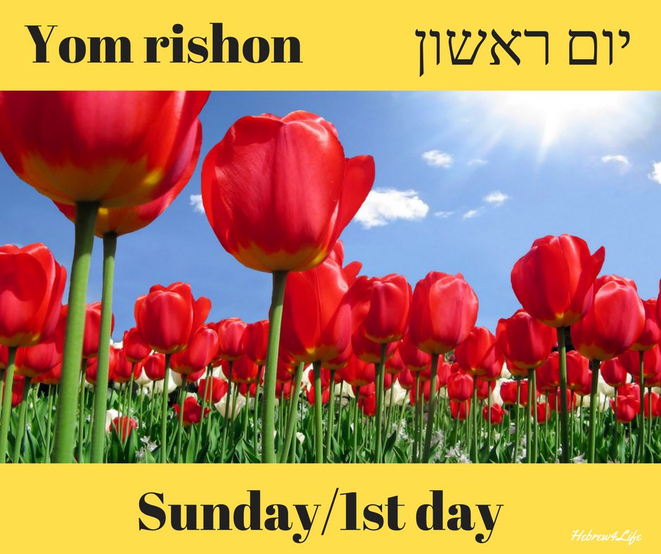 Hebrewforlife's tweet photo. https://t.co/leVJ4QQ24p