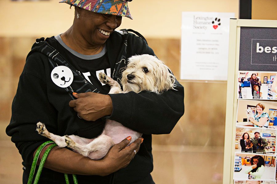 It's the last day of Nat'l Adoption Weekend. Hurry to PetSmart to adopt a forever friend. bit.ly/2bFHXxZ