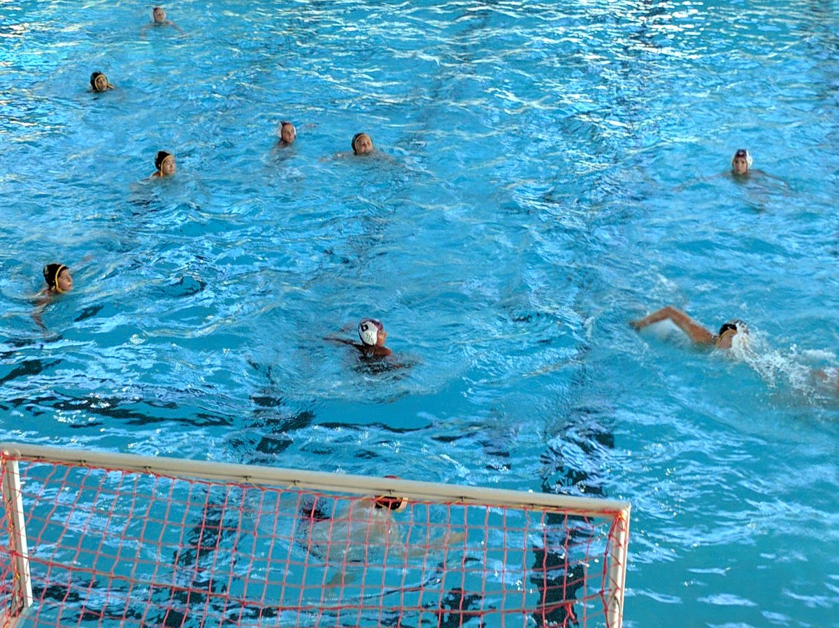 PalosVerdesWPC's tweet photo. Starting the season with an excellent game. #waterpolo #cca https://t.co/qxNGRGKvPp