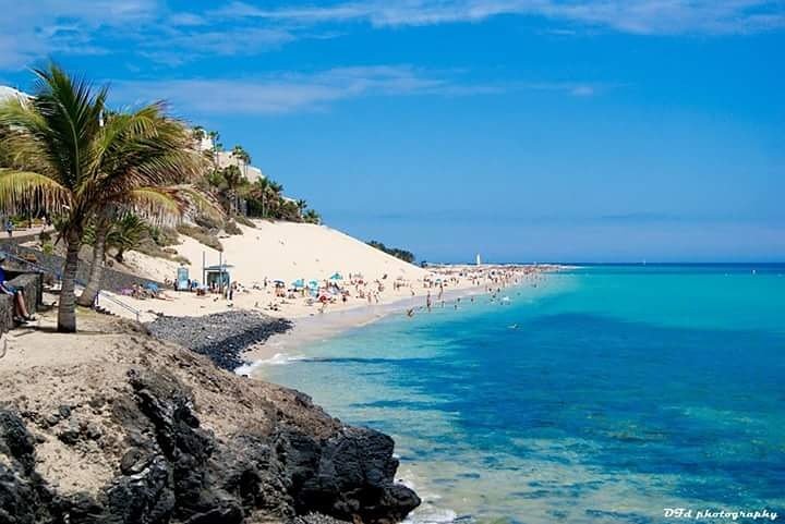 DEFARDEL Fotografía tweet media