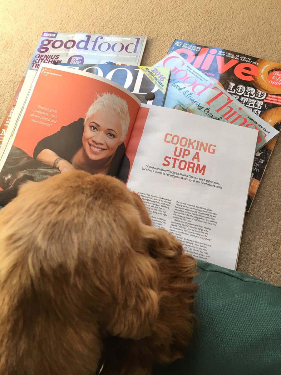 kasyflo's tweet photo. @MGaletti01 #mysundayread After a day's foraging in the woods. Thank you for the article 🐶 https://t.co/HXIqLTiStE