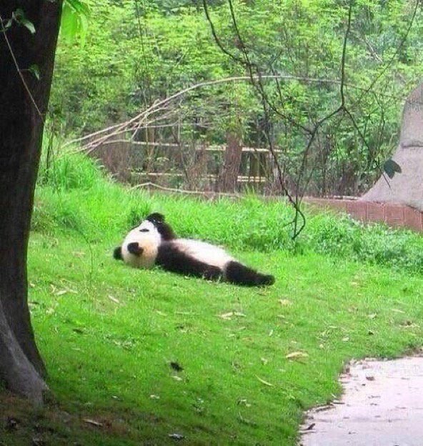Lifetonics's tweet photo. Hope your having relaxing Sunday from all @Lifetonics #sunday https://t.co/DQtMwxPMl8