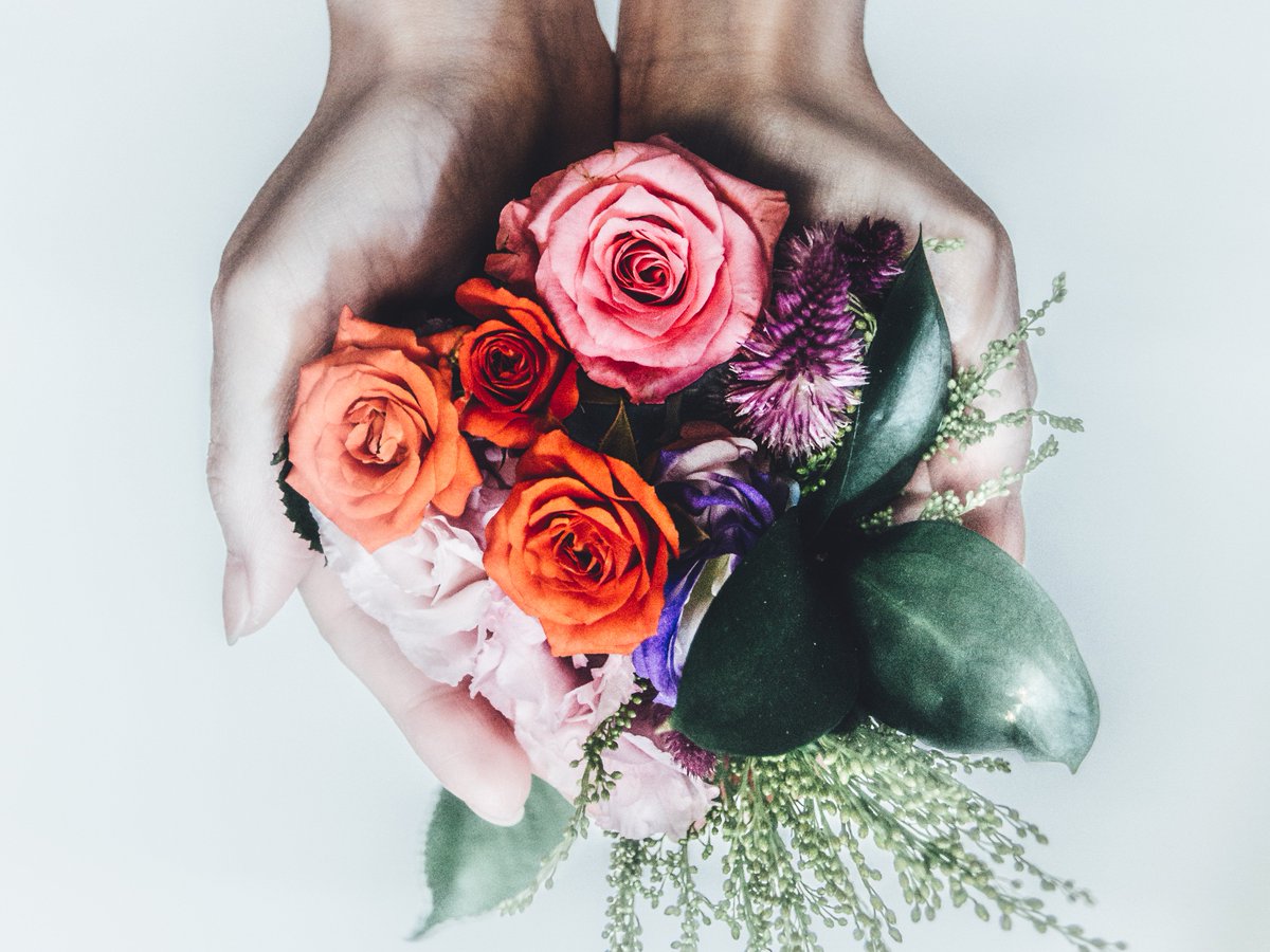 Koukichi_T's tweet photo. #perfume https://t.co/fVT53hF5tI #ファインダー越しの私の世界 #ktpics #EyeEm #fineart #flowers #bouqet #hand #mutedcolor #花 #花束 https://t.co/FLF5zOrszG
