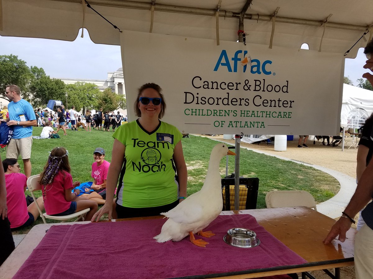 #goTeamNoah &amp; the .@aflacduck r 2gether .@CureFestDC to spread the word! #duckprints 4 a $2 gift 4 #childhoodcancer