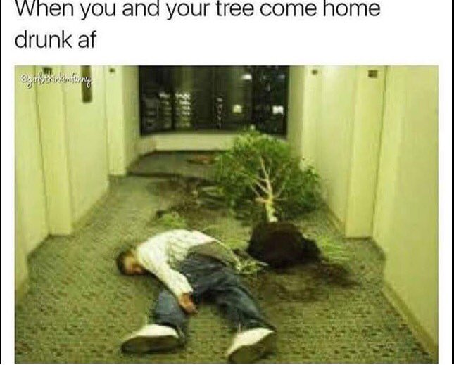 Some stories are better left untold.... #treehugger