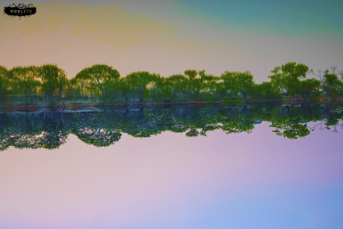 flicker_scape's tweet photo. Inverted reflections are indeed beautiful :)
#photography #winklets #REFLECTION #lake #Mysore #Karnataka https://t.co/IcVwOzSQcB