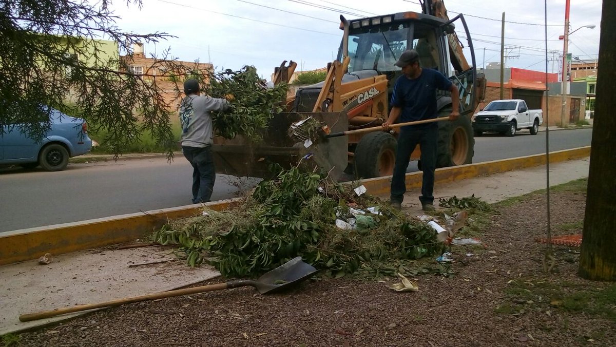 spublicos_dgo's tweet photo. Recolección de deshechos  en diferentes áres verdes de la ciudad https://t.co/v6cXUKTwaj