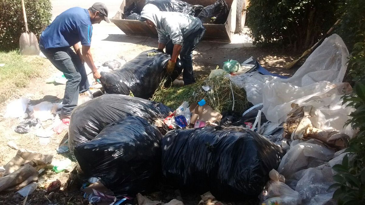 spublicos_dgo's tweet photo. Recolección de deshechos  en diferentes áres verdes de la ciudad https://t.co/v6cXUKTwaj