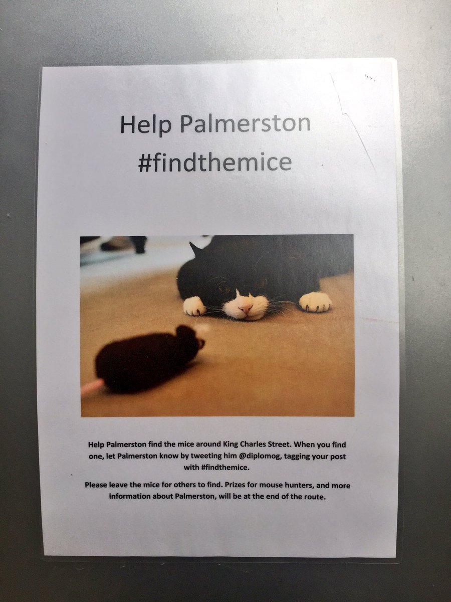 yubafu's tweet photo. ちゃんと鼠も見つけたのである。@DiploMog #findthemice #パーマストン https://t.co/dobnIGDfZd