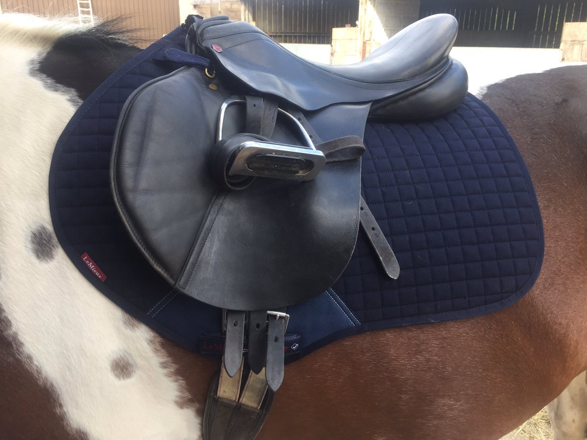 After Conners injury it's nice to be back on board and trying out my LeMieux numnah from <a href="/cheffingsequine/">Cheffings Equine</a>