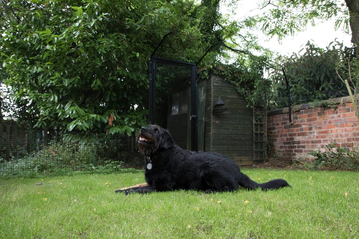ProtectaPet's tweet photo. Introducing #dogenclosures #britishdesign #britishmanufacture #peaceofmind Latest innovation in #preventativecare https://t.co/c2NbDH79gW