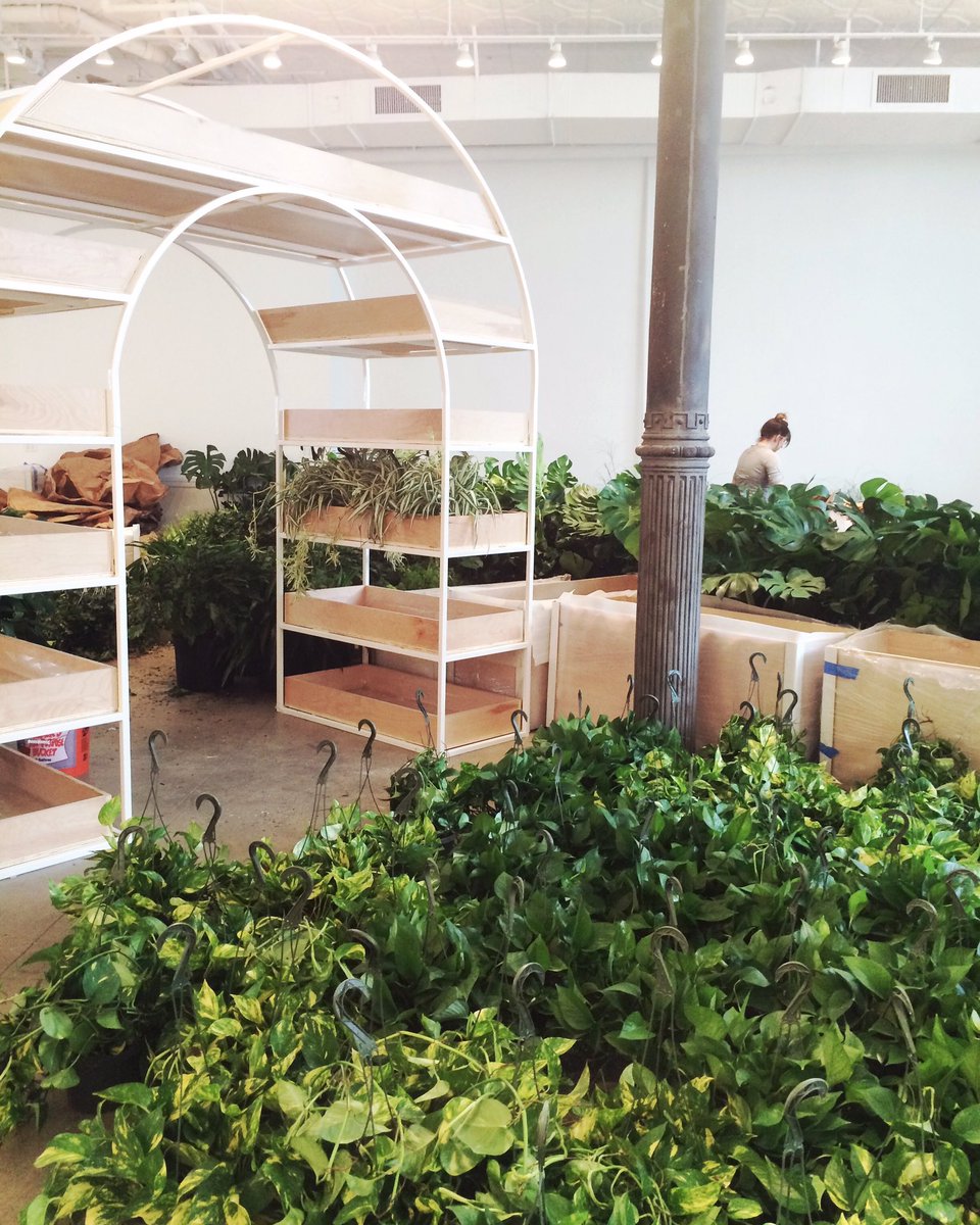 EVERLANE tweet media