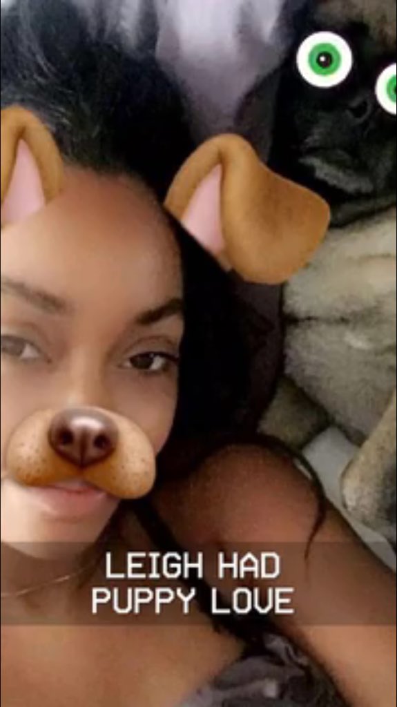 JustinOfArc's tweet photo. LERRIE and Harvey are taking the sassiest Snaps of all time! #SelfiesOfTheWeek https://t.co/5CWjjCzHRC