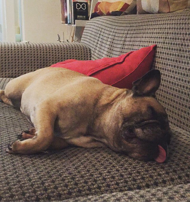 Watch Liam Murphy's leaked NSFW photo on TwXstars