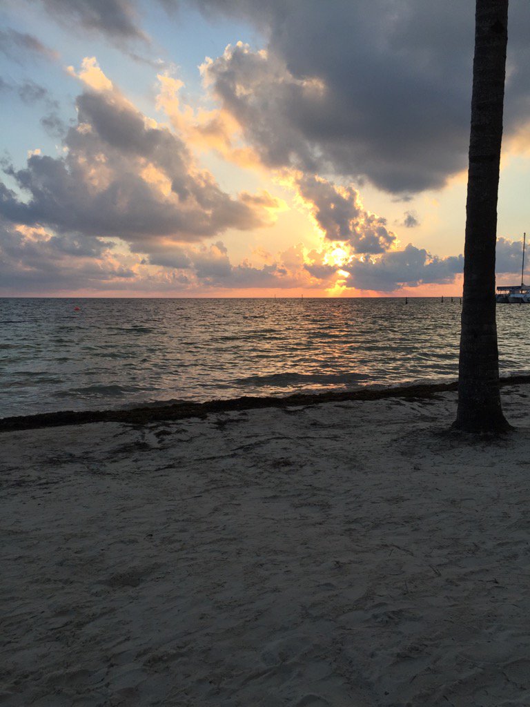 lbuster2's tweet image. 