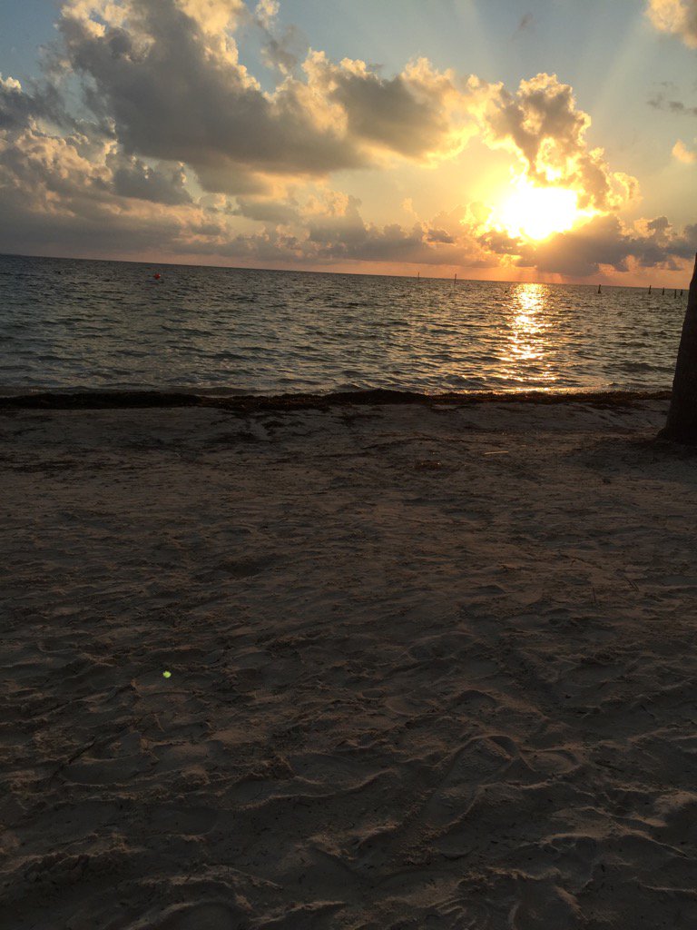 lbuster2's tweet image. 