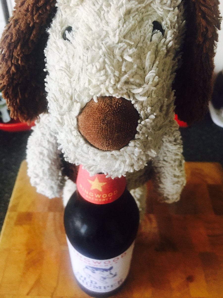 AdventuresOfDog's tweet photo. It's #BeerOClock for this young pup! Got to love #OldThumper from @RingwoodBrewery for a Sunday tipple 🍻👍🏻 https://t.co/BDDKfwHDOW
