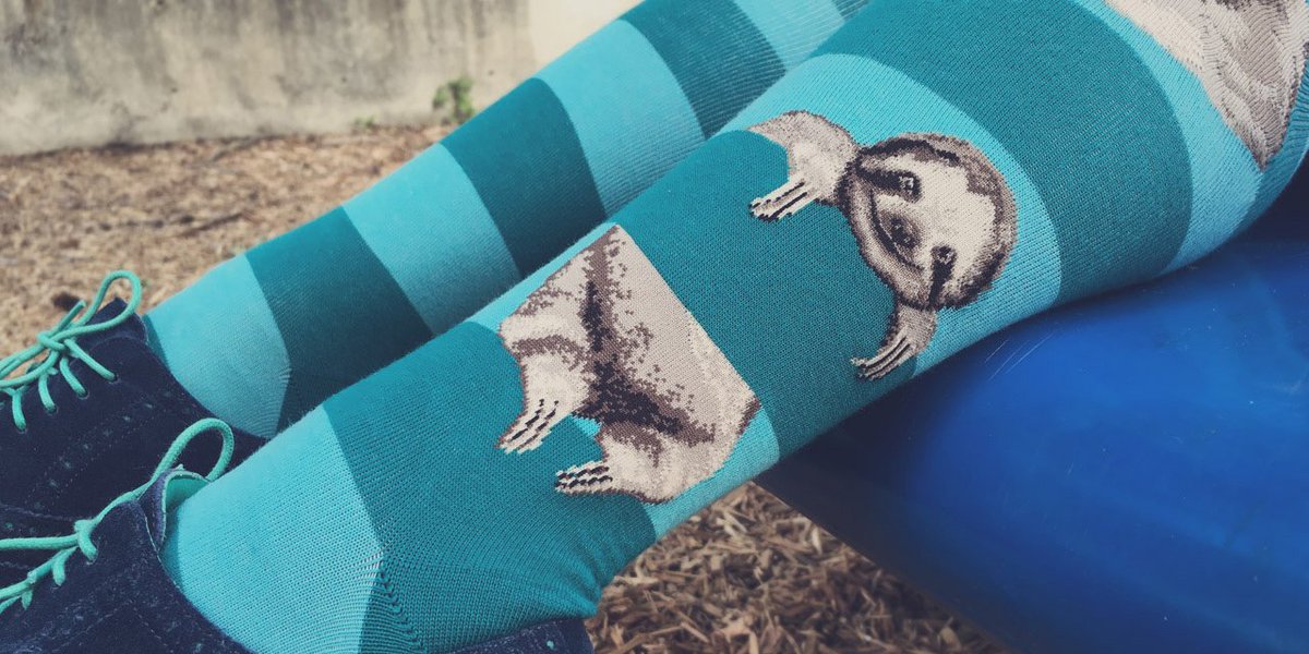 ModSocks's tweet image. Who's having a #sloth Sunday? #socksoutsunday