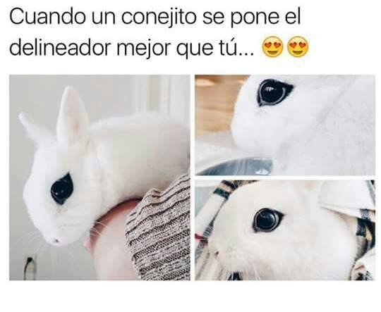 forrerro_mayra's tweet photo. https://t.co/f3bH0Iu4nz