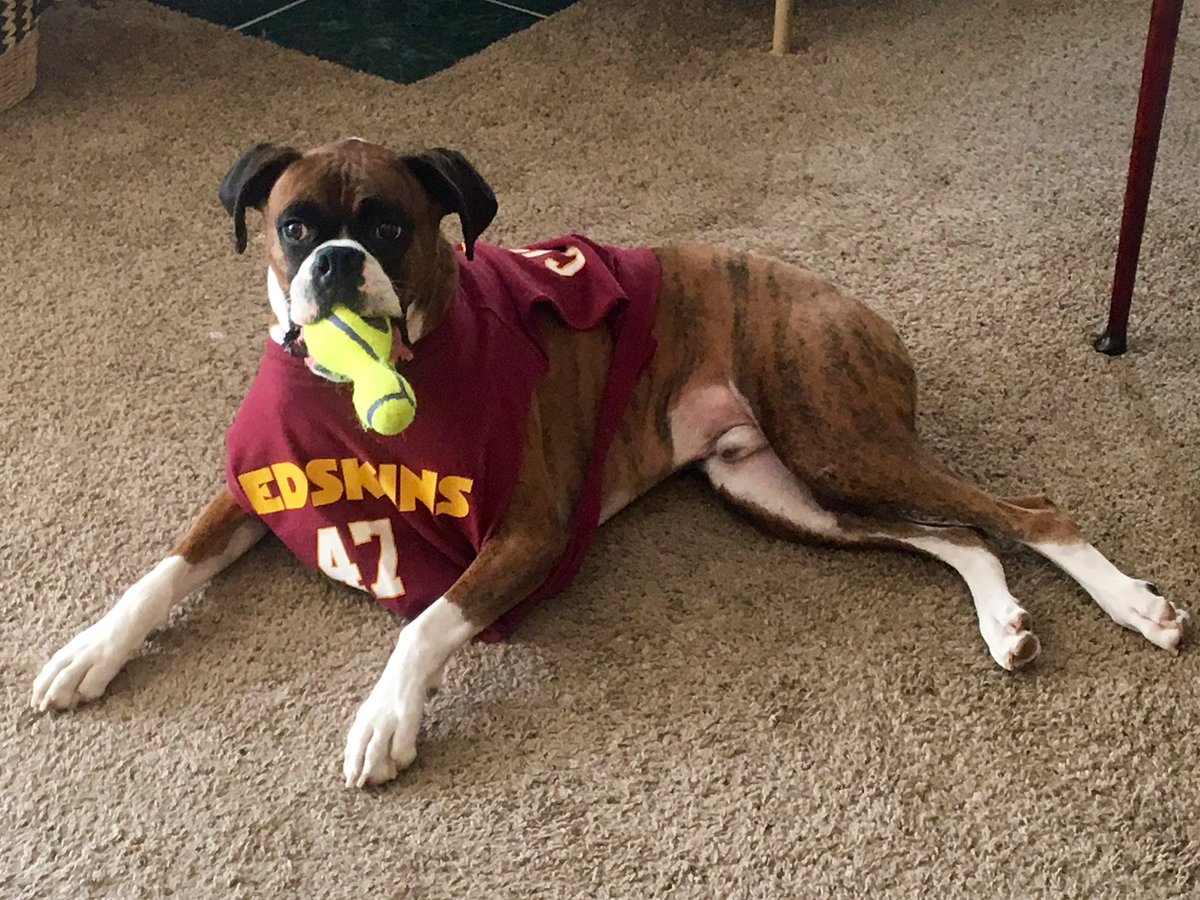 DruW_33's tweet photo. Mr. Carter is ready. #HAIL https://t.co/8TPGF1sk8w