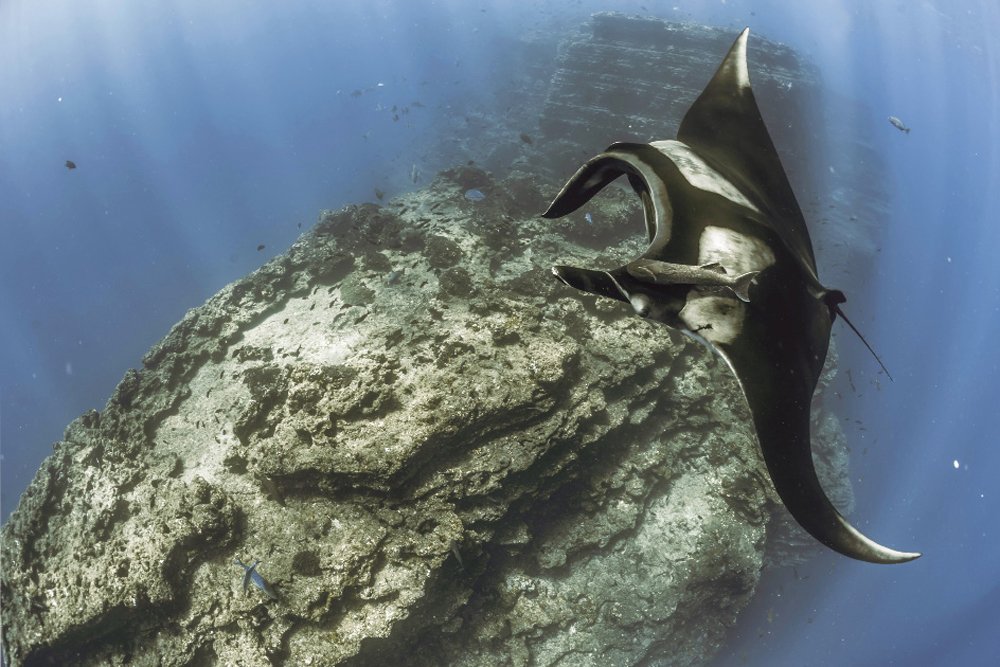 DiveMagazine tweet picture