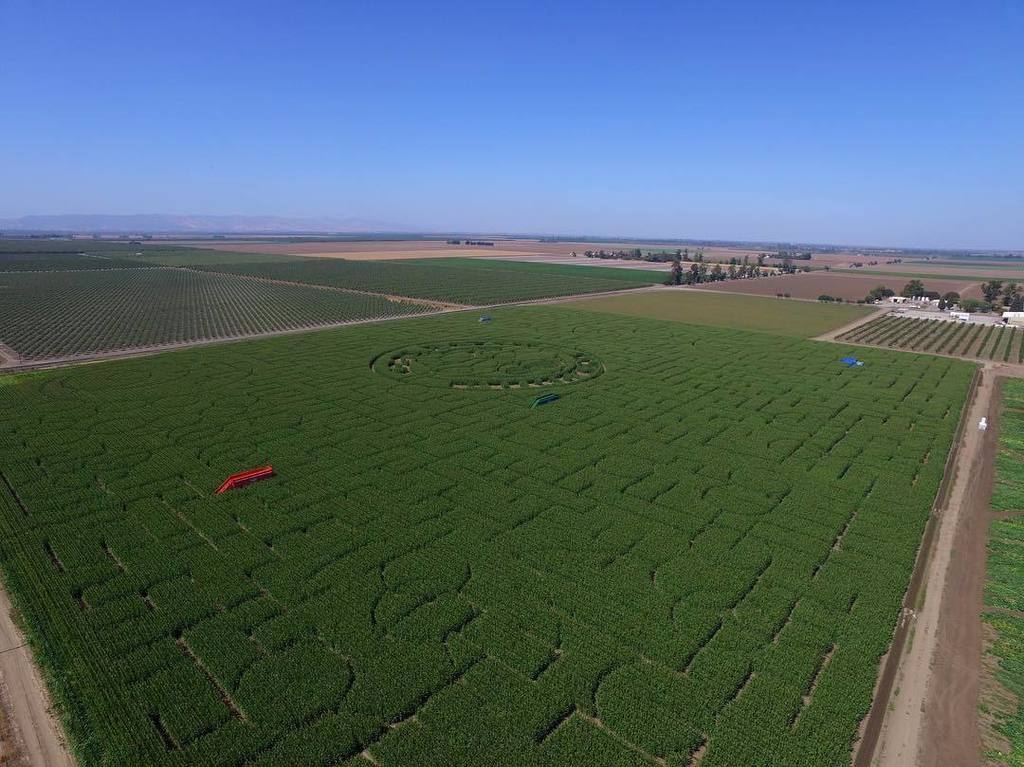 SethCooley2's tweet photo. She's open folks! #coolpatchpumpkins #cornmaze #worldslargest #guinessbook #dixonca #visit… https://t.co/Ja13ZeQi5l https://t.co/VwWnvbQqij