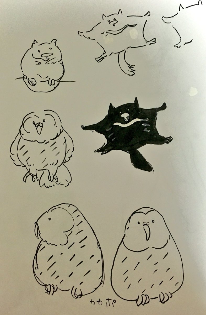 ゆるーく動物かくのたのしい 