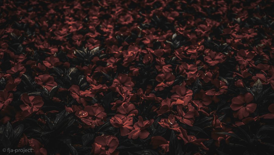 iTiroas's tweet photo. Coming back to an old image and thinking, I can do better.
-
-
#undersaturated #london #st… https://t.co/TuvzZEKYzQ https://t.co/OBIqGAwHFB