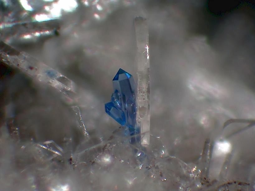 Jeremejevite | #Geology #GeologyPage #Mineral

Chemical Formula: Al6(BO3)5(F,OH)3

Localit… instagram.com/p/BKgXyOKB9e1/