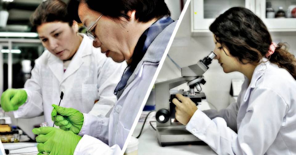 Politico_pe's tweet photo. .@AlonsoMujica1: ".@UrsulaLetonaP quiere cambiar reglas en el .@ConcytecPeru" .@elcomercio https://t.co/PedS1EiqyN https://t.co/WOdPTQlPBd